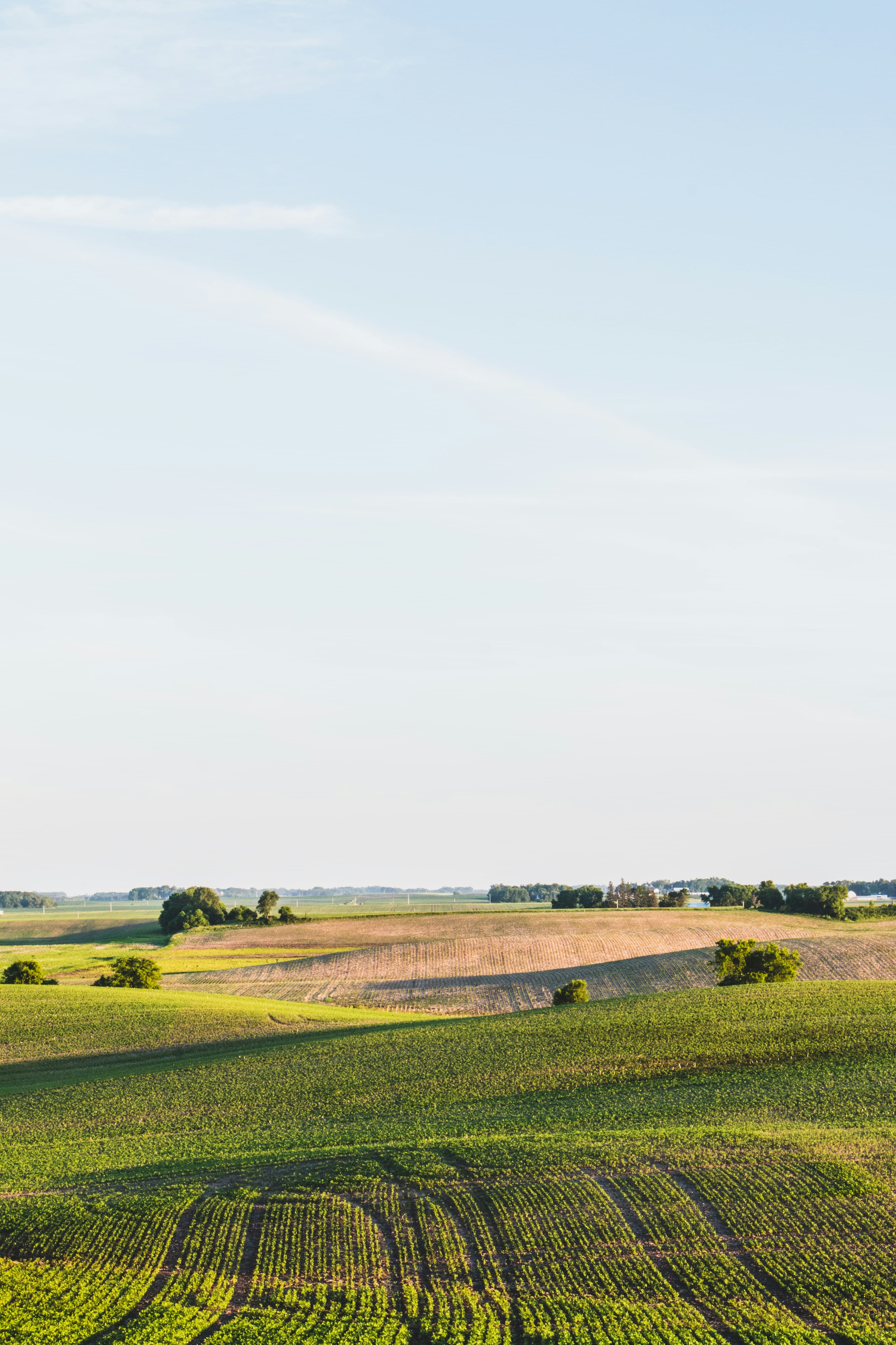 Regenerative farm landscape